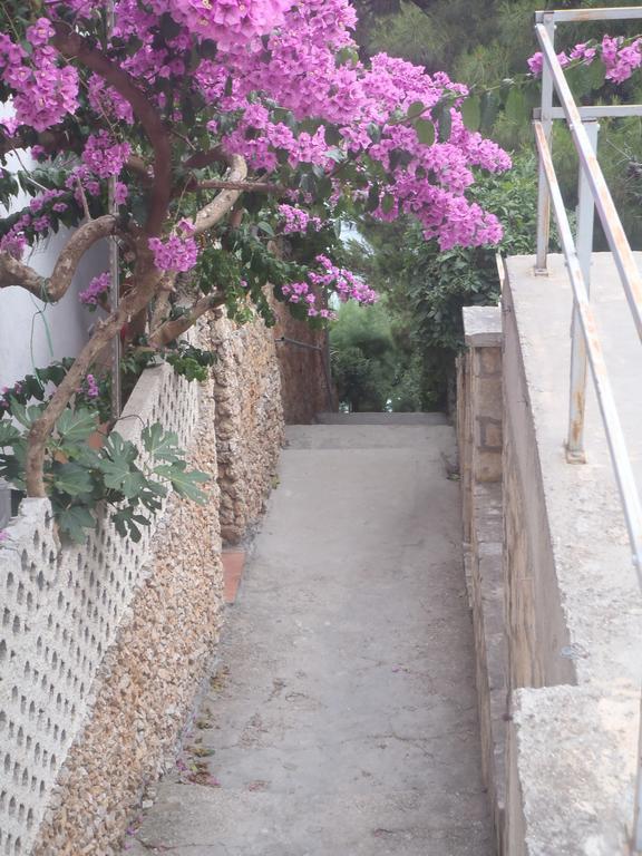 Apartments Villa Stari Koko Omis Ngoại thất bức ảnh